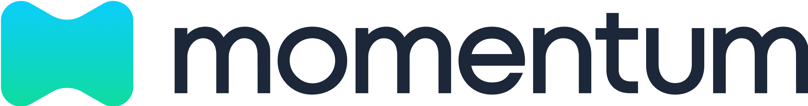 Momentum